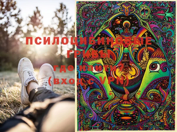 меф Алексин